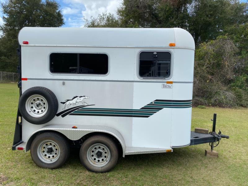 2002 Trailers USA   2 Horse Straight Load Bumperpull Horse Trailer SOLD!!! 